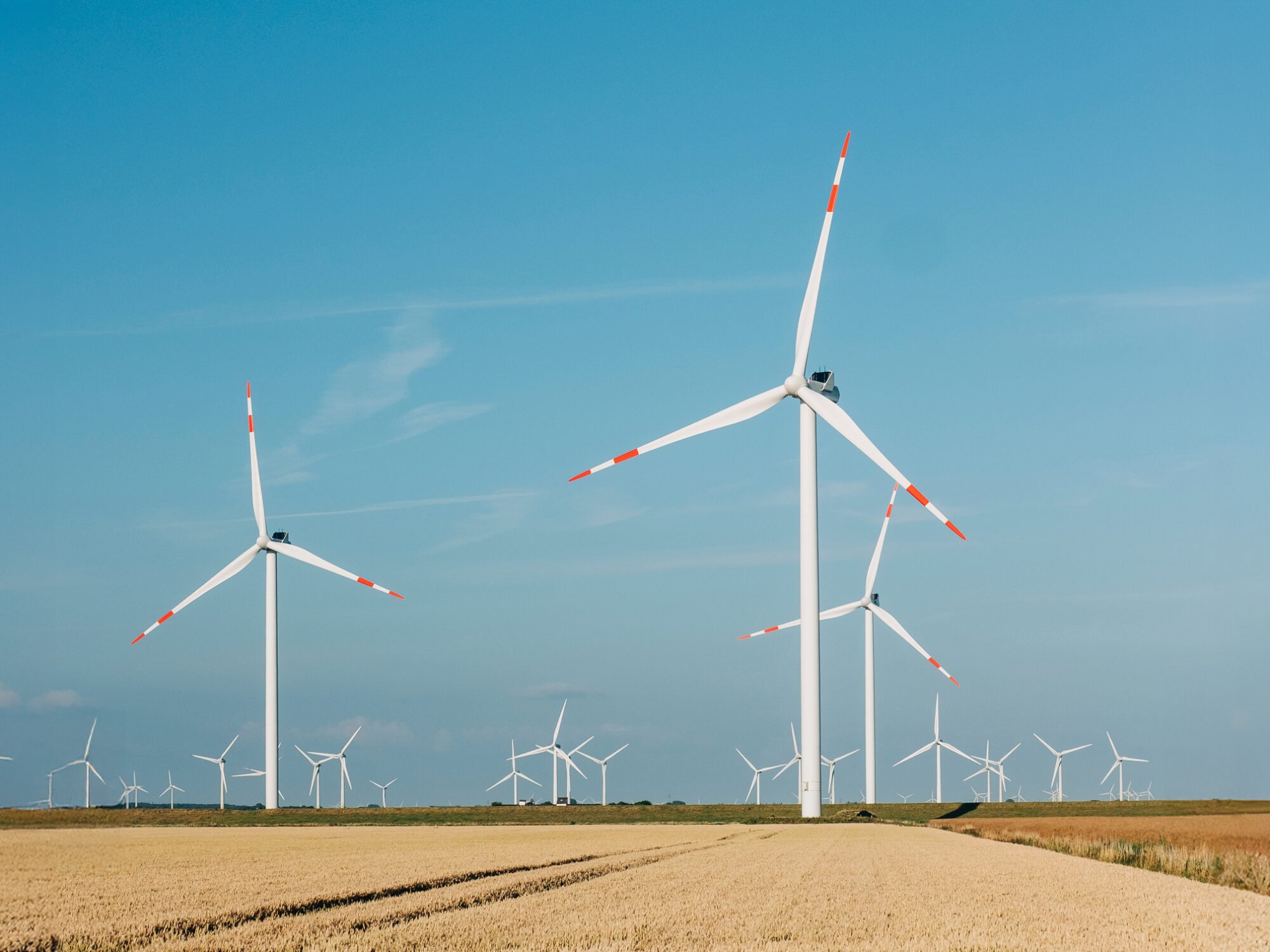eMobility Webinar von reev: Smart laden, smart sparen – der neue reev Stromtarif
